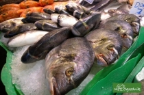 Ryby na targu rybnym w Barcelonie