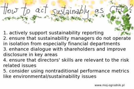 Co dyrektor finansowy powinien wiedzieć o zrównoważonym rozwoju? 