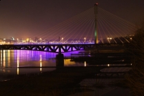 Most Świetokrzyski, Warszawa, foto WWF