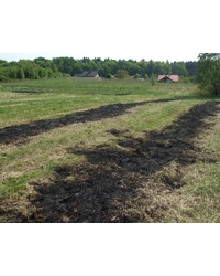 Wypalanie traw jest nie tylko nieekologiczne, ale i prawnie zabronione