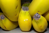 Bioenergia z odpadów bananowych