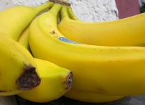 Zielone innowacje plantacji bananowców